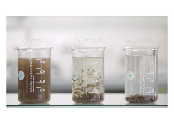 Jar test comparing untreated, flocculated and sedimented water side by side